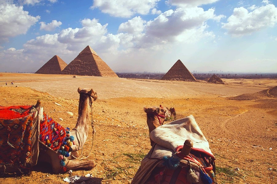 Special Offer 12 Days Cairo, Alexandria, and Nile Cruise package }}